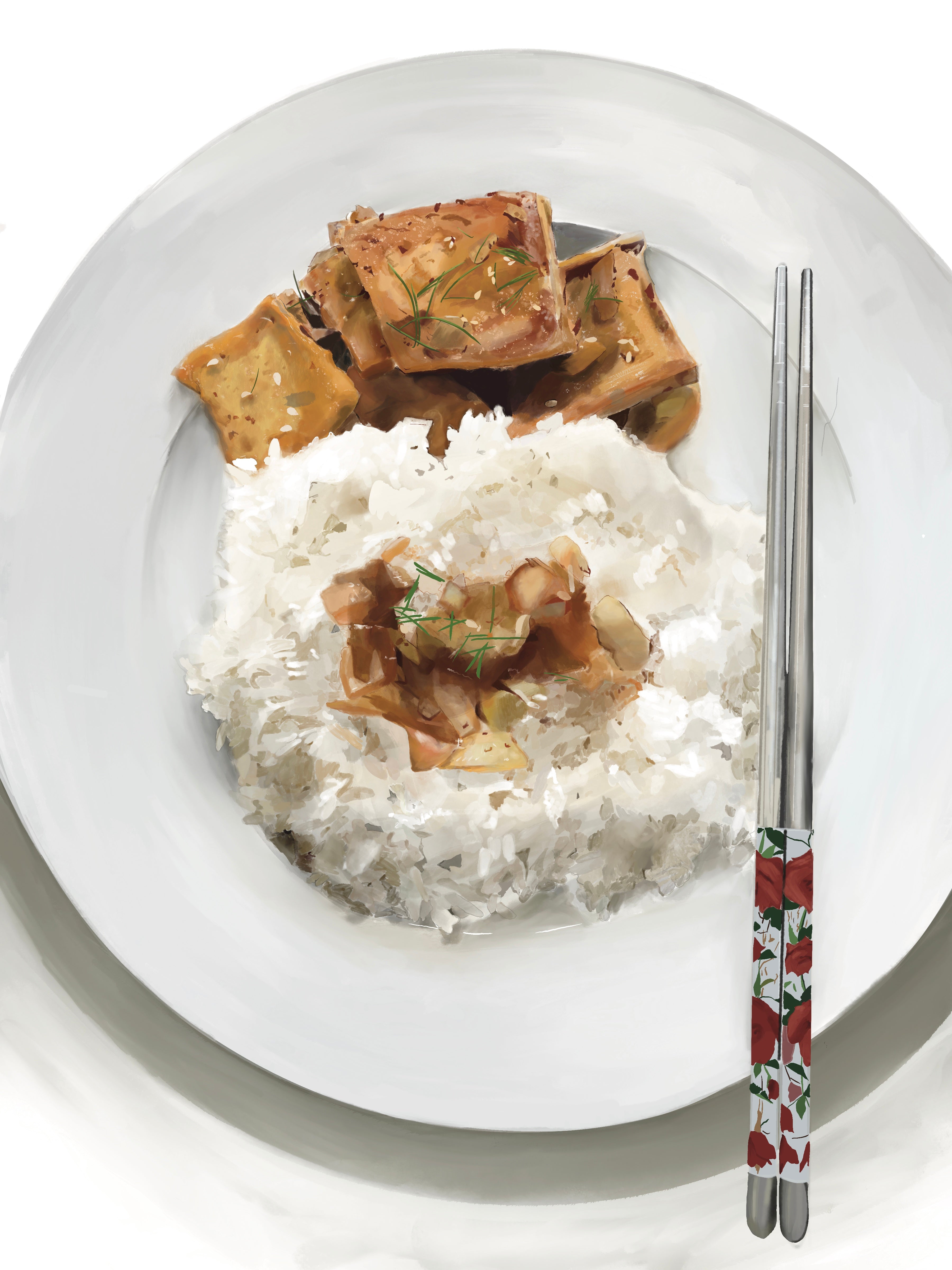 Braised Tofu